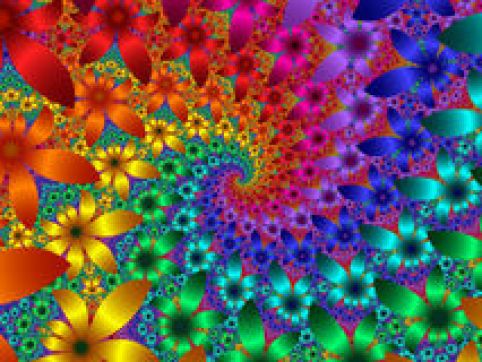 fractales fleurs multicolores